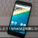 Nexus 5Xが無限ループ ⇒ EXPANSYS(エクスパンシス)へ返品修理。
